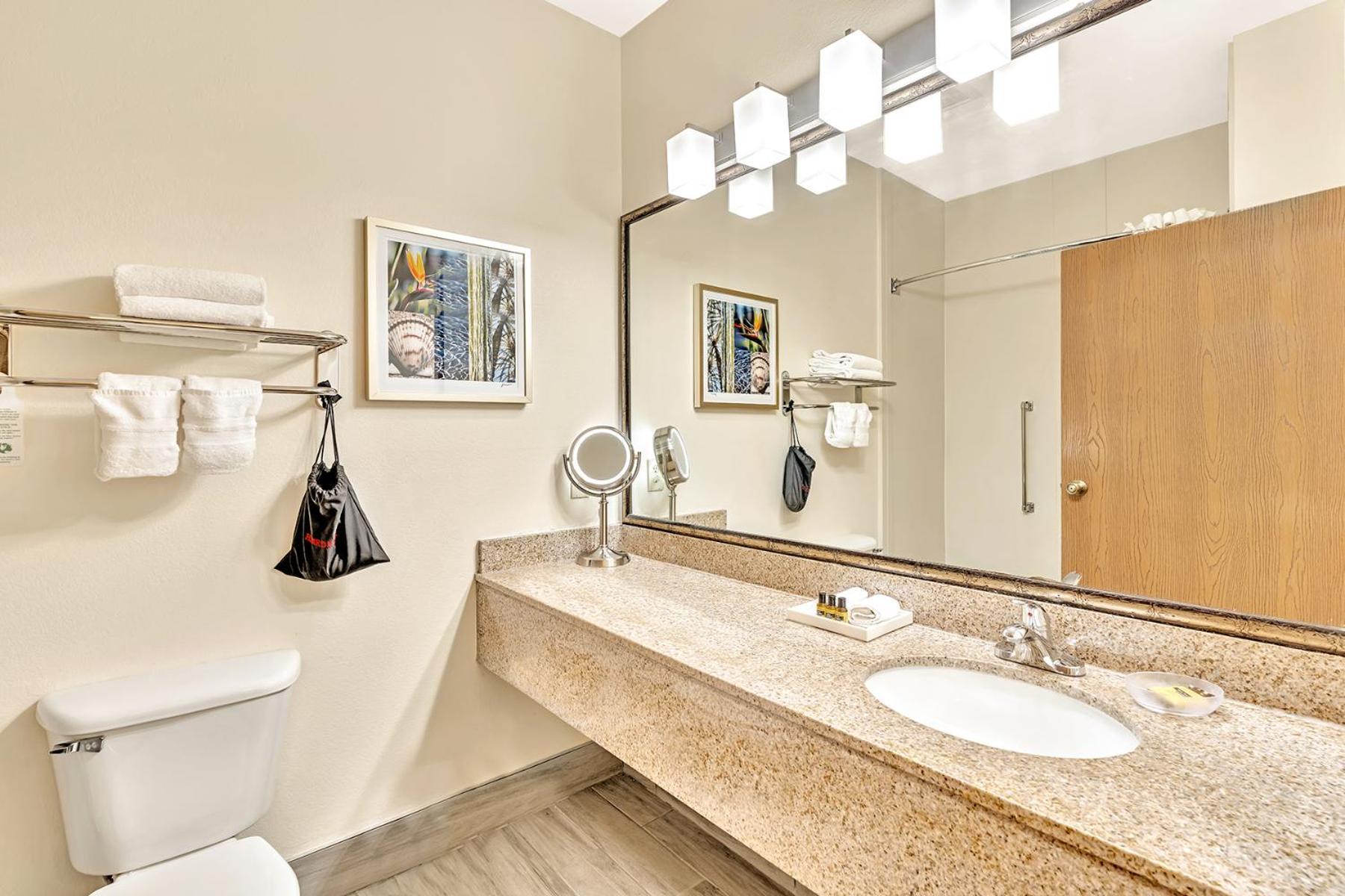 Best Western Plus Lewisville Flower Mound Zimmer foto